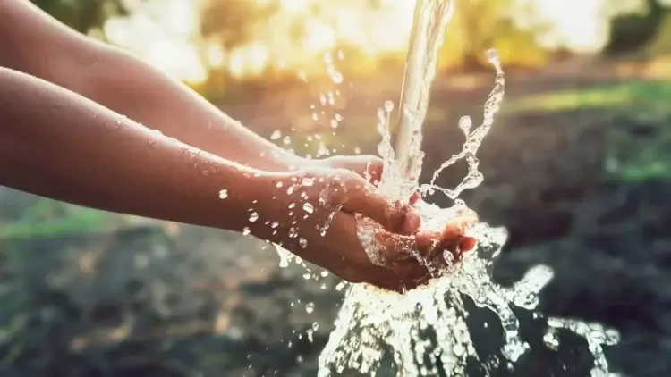 UNEV en el Día Mundial del Agua alerta de escasez del preciado líquido