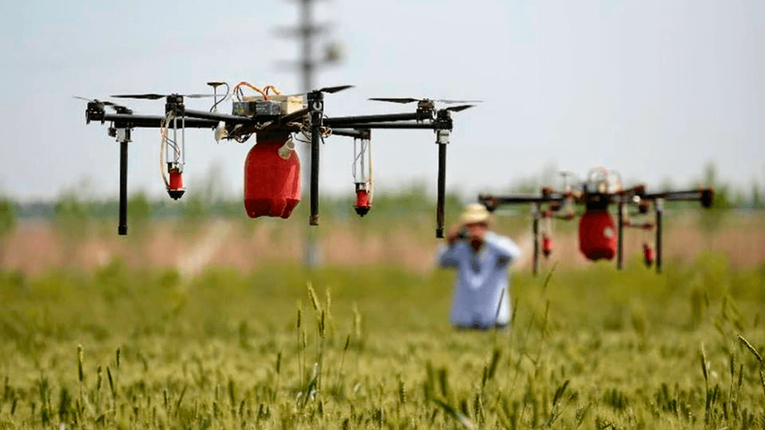 Rector de la UNEV, Dr. Juan Guerrero Ávila: Un Visionario en la Transformación de la Agricultura Dominicana